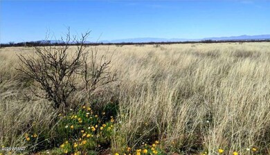 2.52 ACRE on Downing (7)