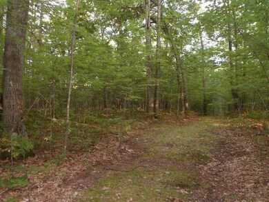 Trail