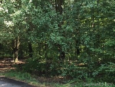 228 Gaston Ct unit 39, Statesville, NC 28625 - photo 6