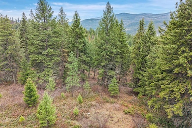 3XXX Rockcut Rd, Kettle Falls, WA 99141 - photo 7