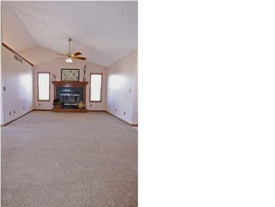 DECORATIVE WOOD BURNING FIREPLACE