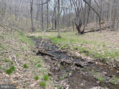 LOT 19 SEC 14 High Knob Rd, Old Fields, WV 26845 - photo 3