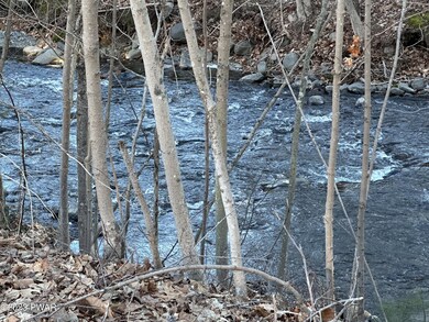 125 Sawkill Unit H Ave, Milford, PA Selec - photo 2