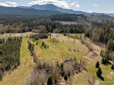 4890 Lost Mountain, Sequim, WA 98382 - photo 5