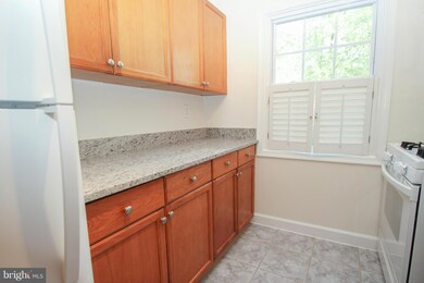 9461 Fairfax Blvd unit 103, Fairfax, VA 22031 - photo 7