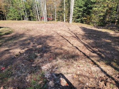 3789W W Indian Way Rd, Draper, WI 54896 - photo 5