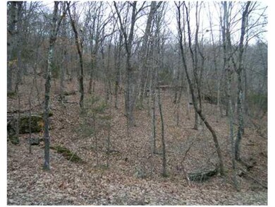 0 Ria Ln unit 699123, Eureka Springs, AR 72631 - photo 6