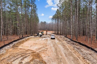 Lot 5 Downes Trail, Archer Lodge, NC 27576 - photo 6
