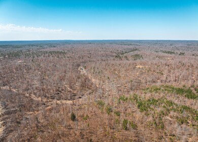 DJI_20240321134754_0138_D