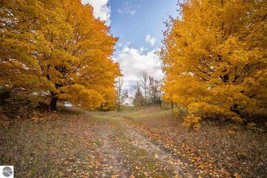 0 E Lincoln Rd unit 1859726, Cedar, MI 49621 - photo 2