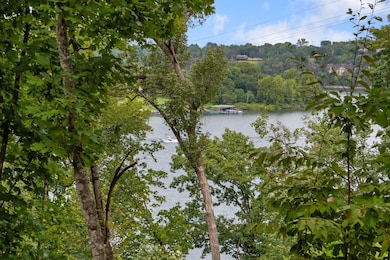 18530 W Eagle Rock Beach Dr, Eagle Rock, MO 65641 - photo 3