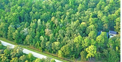 11817 White Oak Pass, Conroe, TX 77385 - photo 7