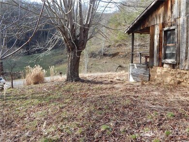 Old home place faces the pasture.