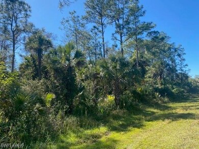 0 Shady Hollow Blvd E unit 225059127, Naples, FL 34120 - photo 7