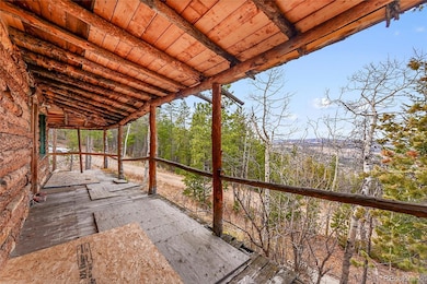206 Wonder Trail, Golden, CO 80403 - photo 4