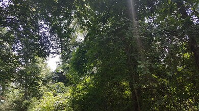 0 Cedar Ct, Huntsville, TX 77340 - photo 4