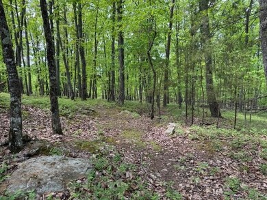 Lot 251 Owl Ridge Way, Jasper, GA 30143 - photo 7