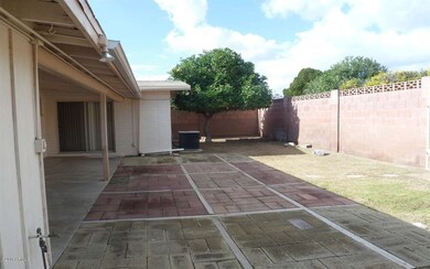 back (4)