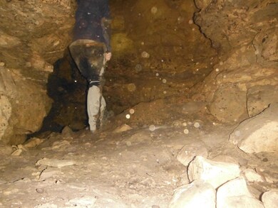 000 Moonlight Rd unit 155 Acres, Mammoth Spring, AR 72554 - photo 4