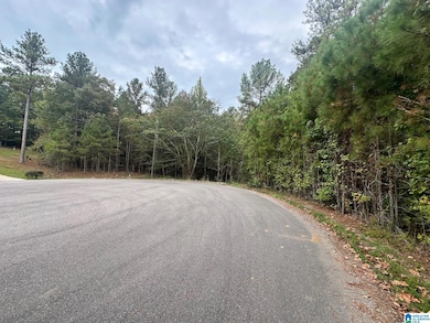 765 Fallview Ct, Odenville, AL 35120 - photo 2