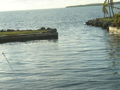 coral way 5