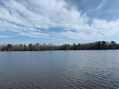 1424 Ralph Bell Rd, Summerton, SC 29148 - photo 2