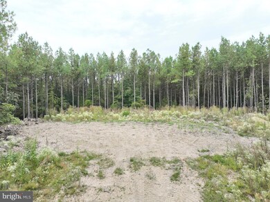 26.89 AC N Texas Rd, Delray, WV 26714 - photo 4