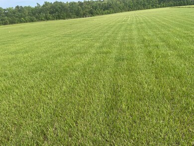 25447 William Rd, Picayune, MS 39466 - photo 7