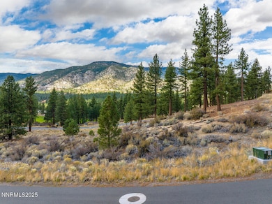 569 Headwaters Way unit 358, Carson City, NV 89705 - photo 5