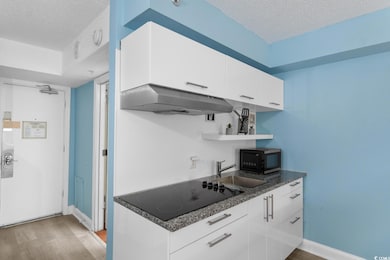 Sea Mist Resort- Driftwood unit 20804, Myrtle Beach, SC 29577 - photo 6