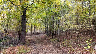 0 Sulpher Springs Rd, Waterloo, SC 29384 - photo 4