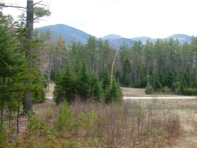 0 Morristown unit 4404167, Franconia, NH 03580 - photo 3