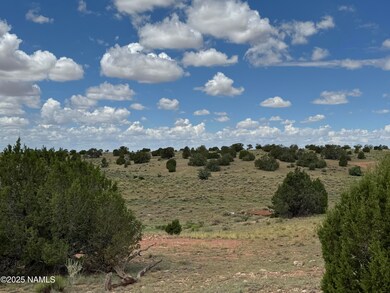 2794 E Redwood Ln unit 101, Williams, AZ 86046 - photo 3