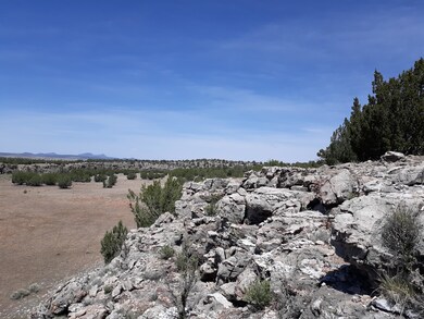 Lot 390 Unit 4 Juniperwood Ranch, Ash Fork, AZ 86320 - photo 4