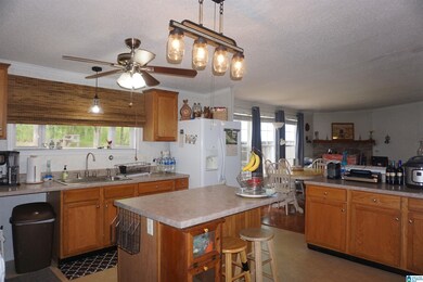 3708 Old Highway 431, Wedowee, AL 36278 - photo 6