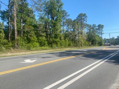 3328 Crawfordville Hwy, Crawfordville, FL 32327 - photo 3