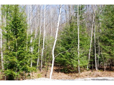 56 Grandview Rd, Conway, NH 03860 - photo 3