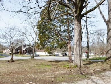 P1060333
