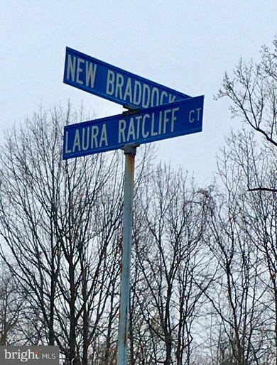 13879 Laura Ratcliff Ct, Centreville, VA 20121 - photo 3