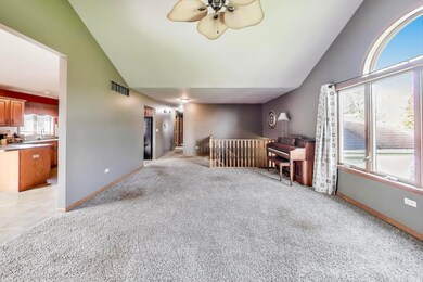 14693 93rd Ln, Dyer, IN 46311 - photo 5