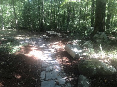 460 Moore Mountain Rd, Pittsboro, NC 27312 - photo 4