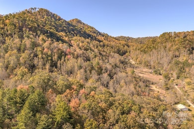 279 Morgan Branch Rd, Weaverville, NC 28787 - photo 5