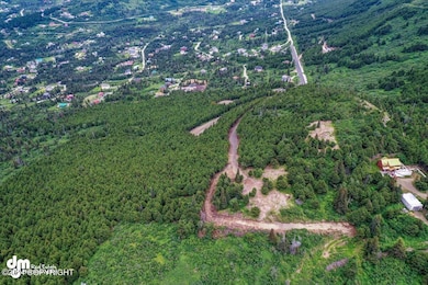 Ariel View of Neighborhood