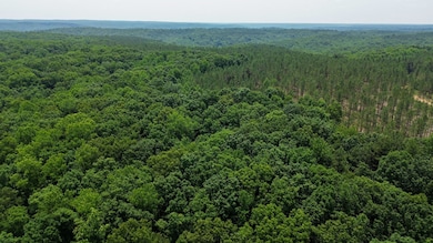 0 Mayfield Divide Rd, Centerville, TN 37033 - photo 2