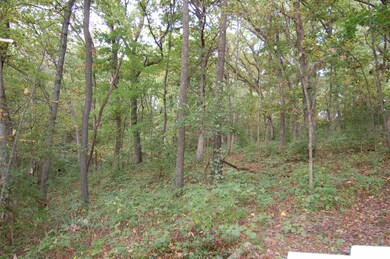 17.63 Acres Biglow Hill Rd, Avoca, WI 53506 - photo 7