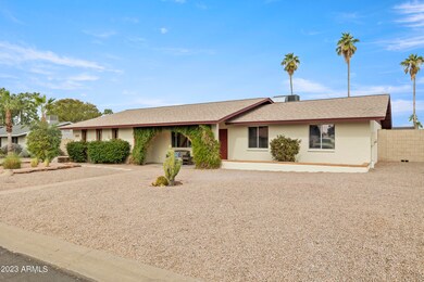 Low Maintenance Front Yard