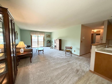 2114 Village Dr unit 221, Red Wing, MN 55066 - photo 6