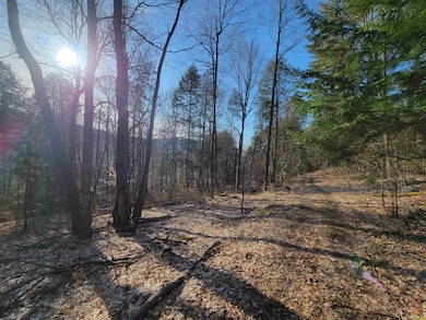 1890-A Bristol Rd, Monkton, VT 05443 - photo 3