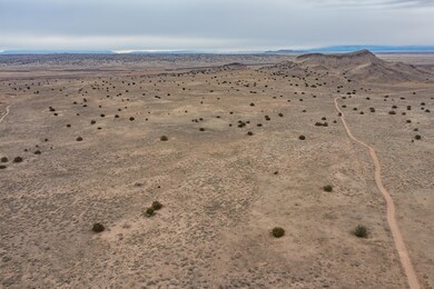 0 S Tribal Rd 321, Los Lunas, NM 87031 - photo 6