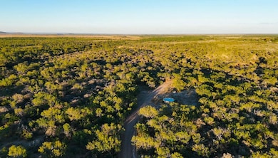 2640 Garner Field Rd, Uvalde, TX 78801 - photo 5